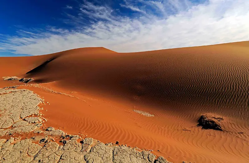 Kalahari Desert